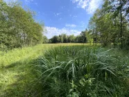 Blick auf die Strohwiese