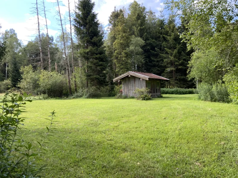 ehemalige Torfhütte - Grundstück kaufen in Schonstett - Filzengrundstück; Streuwiese, Wiese, Wald, Hütte und Wasser