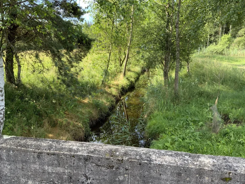 Blick von der Steinbrücke