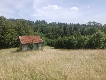 Titelbild - Grundstück kaufen in Edling - Naturidyll mit Freizeitwert - 2,1 ha Wald, Wiese, Biotop