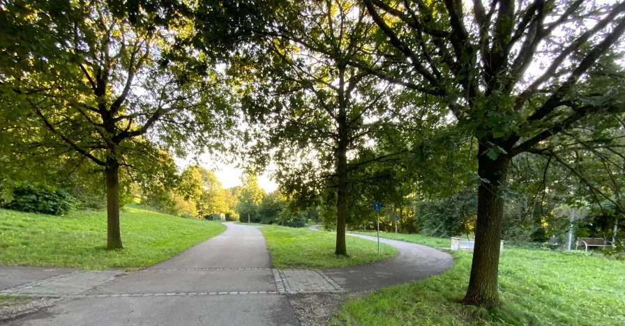 Bürgerpark, Nachbargrundstück