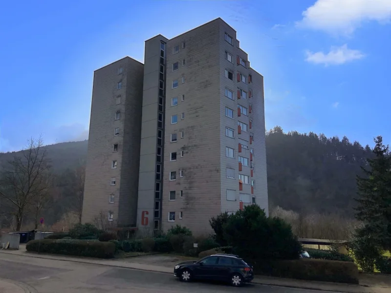 Außenansicht - Wohnung kaufen in Eberbach - Ihre Kapitalanlage in Eberbach