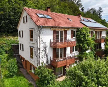 Hausrückseite - Haus kaufen in Eberbach - Charmantes Wohnen in schöner Waldrandlage 