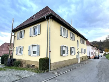 Außenansicht - Wohnung kaufen in Eberbach - Attraktive Eigentumswohnung in Eberbach – stadtnah und ruhig gelegen