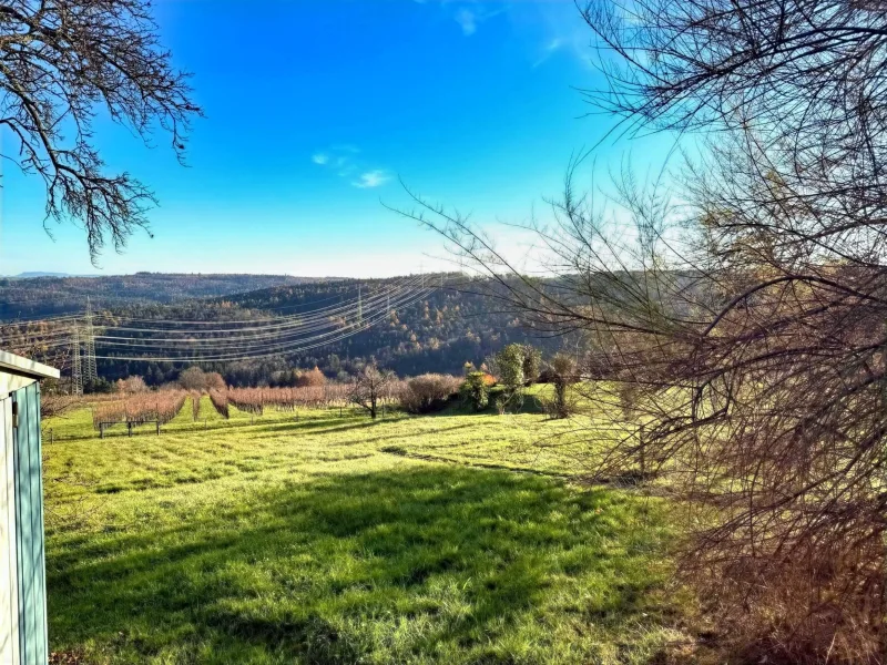 Garten und Aussicht - Haus kaufen in Aichwald - Die Freizeit mit TRAUMAUSBLICK genießen2- FH mit Terrasse, Balkon und großem Garten