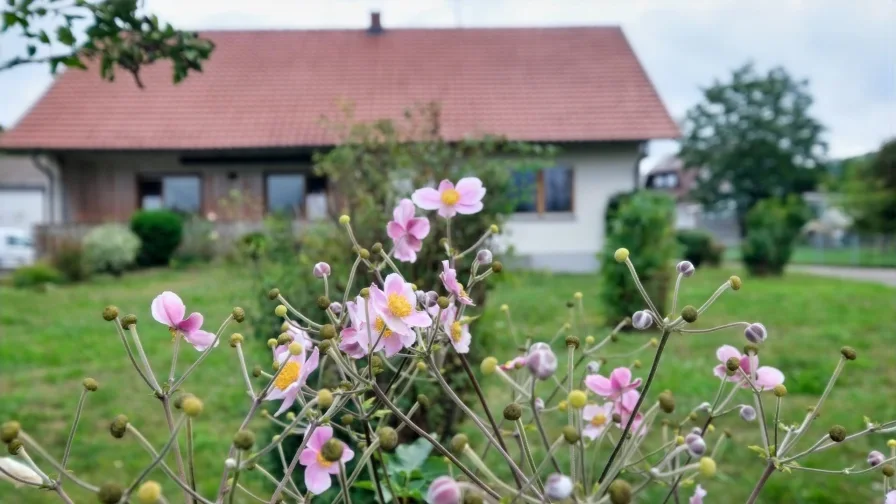 Garten - Grundstück kaufen in Hilzingen - Vielseitiges Gewerbegrundstück mit Wohnhaus...