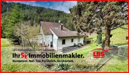 Hausansicht Rückseite - Haus kaufen in Hornberg - Einfamilienhaus mit großzügigem Grundstück