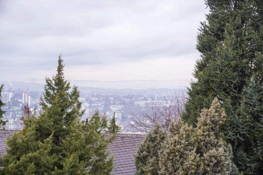 Ausblick auf Koblenz