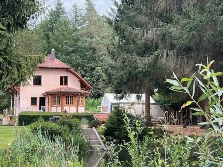 Neudoerfel Haus aus Blick vom  - Haus kaufen in Dambach-Neudoerfel - Anwesen mit Indoor-Pool in wunderbarer Naturlage