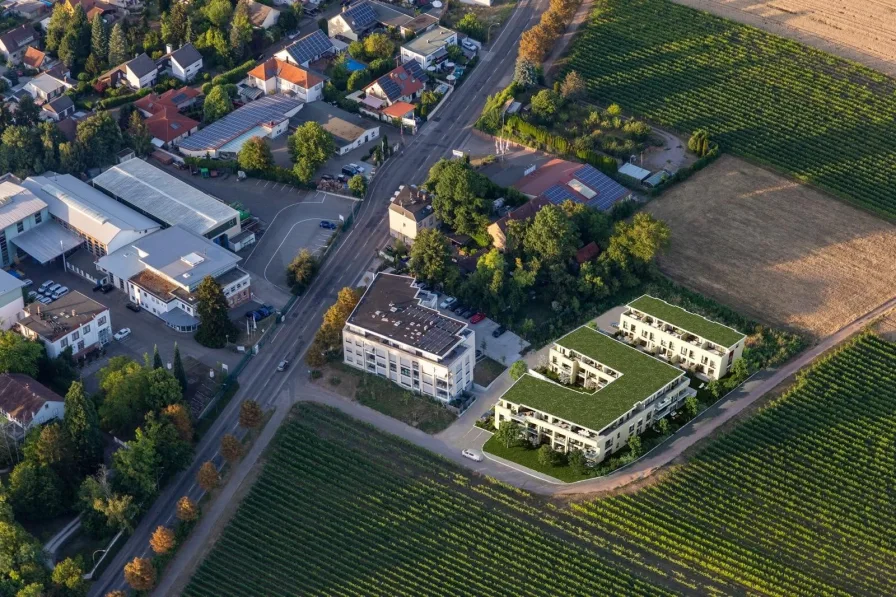 Übersicht - Wohnung kaufen in Landau - ETW mit Gartenanteil nach Südwest in exponierter Lage und gehobener Ausstattung zum Erstbezug