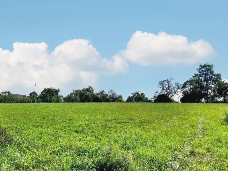 Aussicht vom Garten - Haus kaufen in Bernstadt - *Blick ins Grüne in bester Lage*