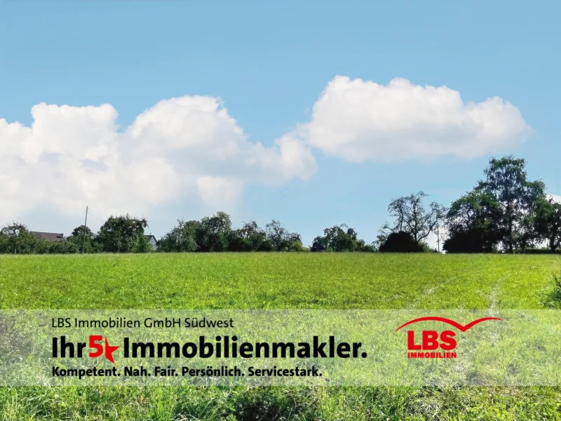 Aussicht vom Garten - Haus kaufen in Bernstadt - *Blick ins Grüne in bester Lage*