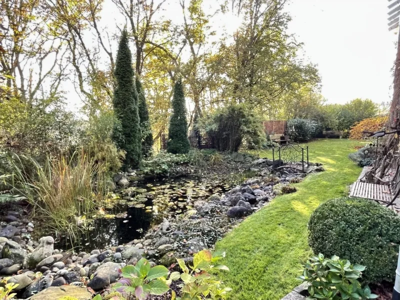 Teich im angelegten Garten