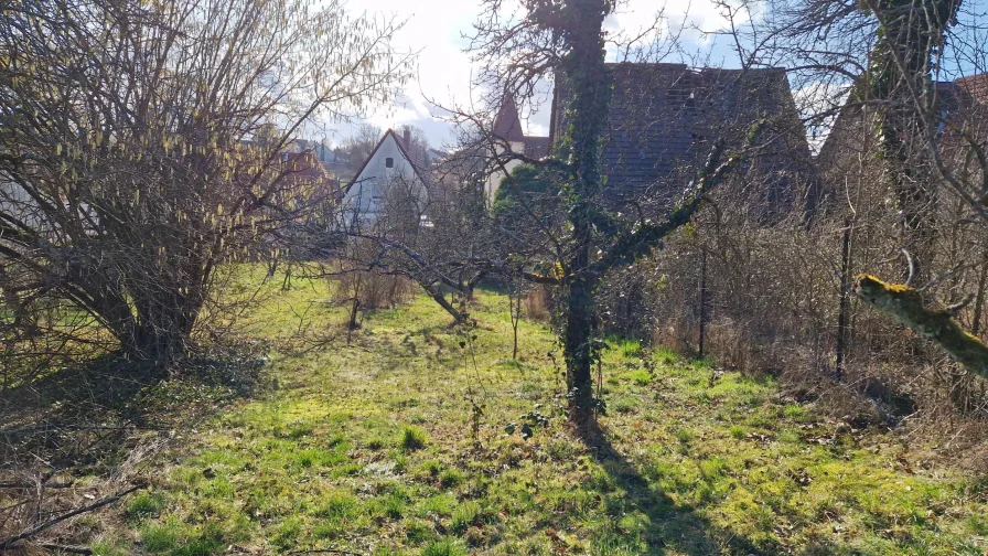 Garten - Sicht Richtung Haus