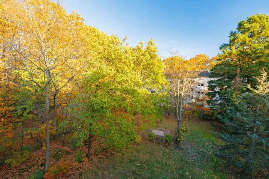 Aussicht Balkon