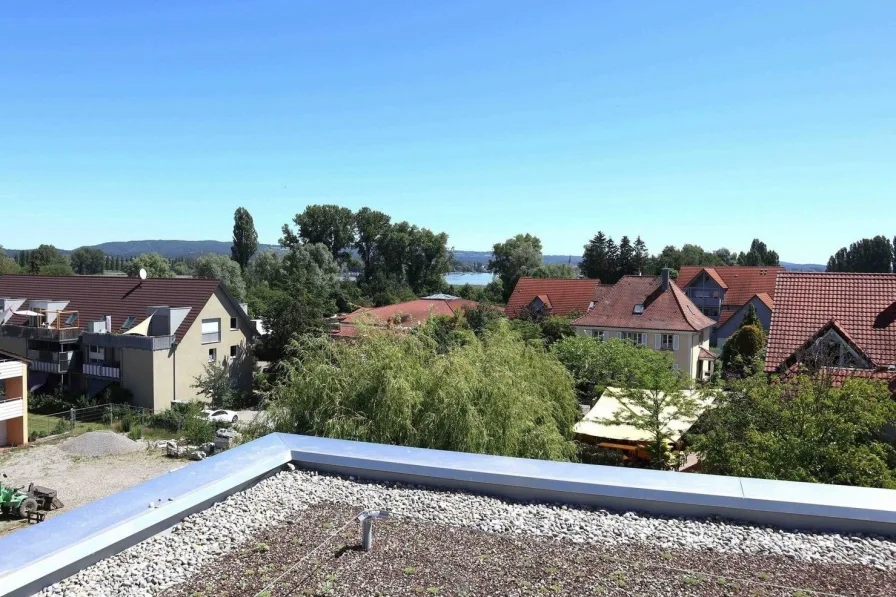 Sommerblick auf den See