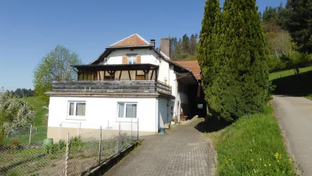 Die Hausansicht - Haus kaufen in Kleines Wiesental - Wohnen mit toller Alpensicht