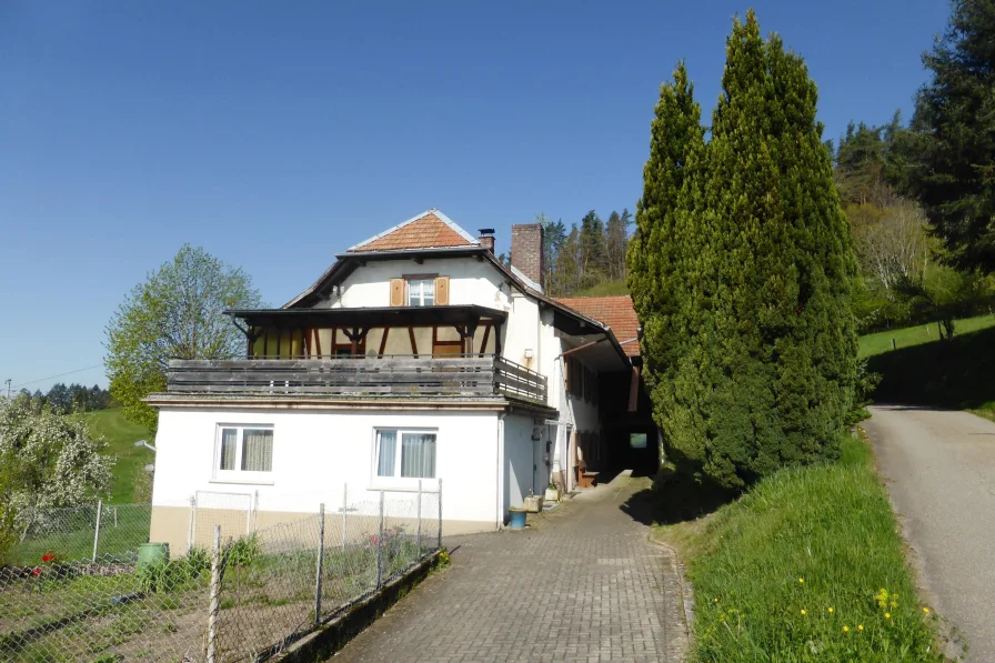 Die Hausansicht - Haus kaufen in Kleines Wiesental - Wohnen mit toller Alpensicht