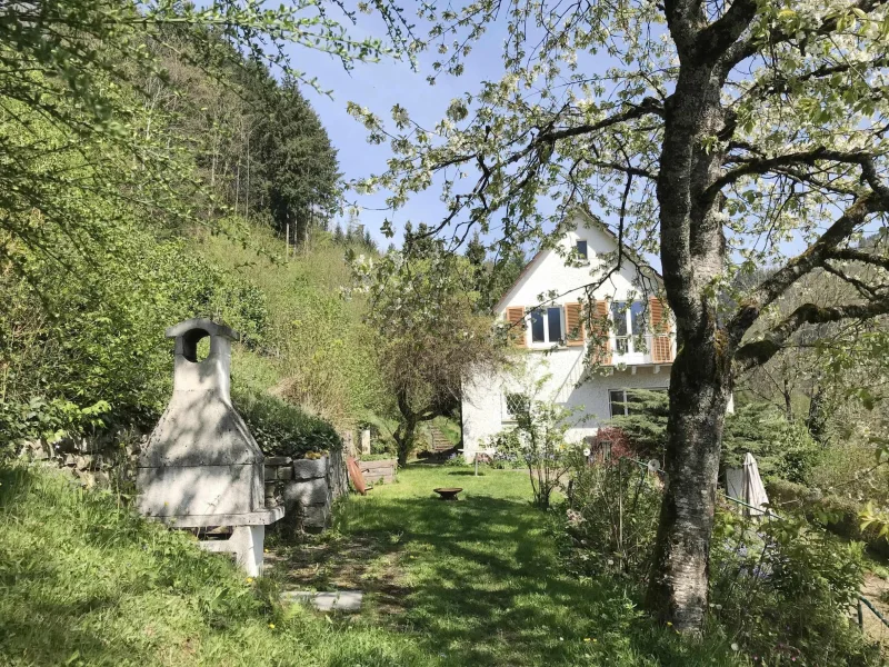 Die Hausansicht - Haus kaufen in Hausen - Tolle Lage – tolles Haus, Paradies gesucht? Gefunden !