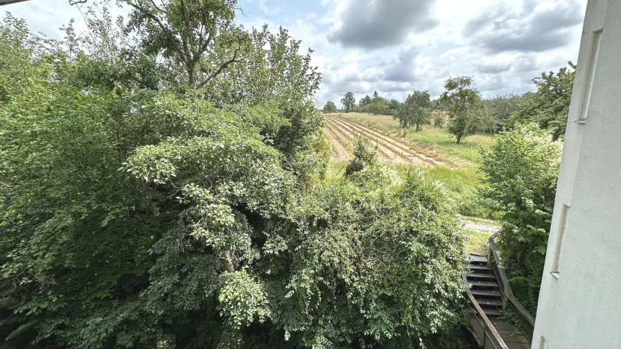 Ausblick / Hausrückseite