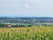 Blick über Oberteuringen