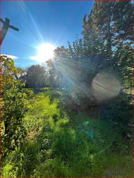 Garten Zugang Grundstück