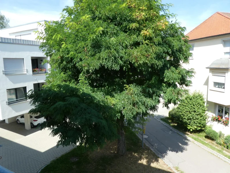 Blick vom Wohnzimmer