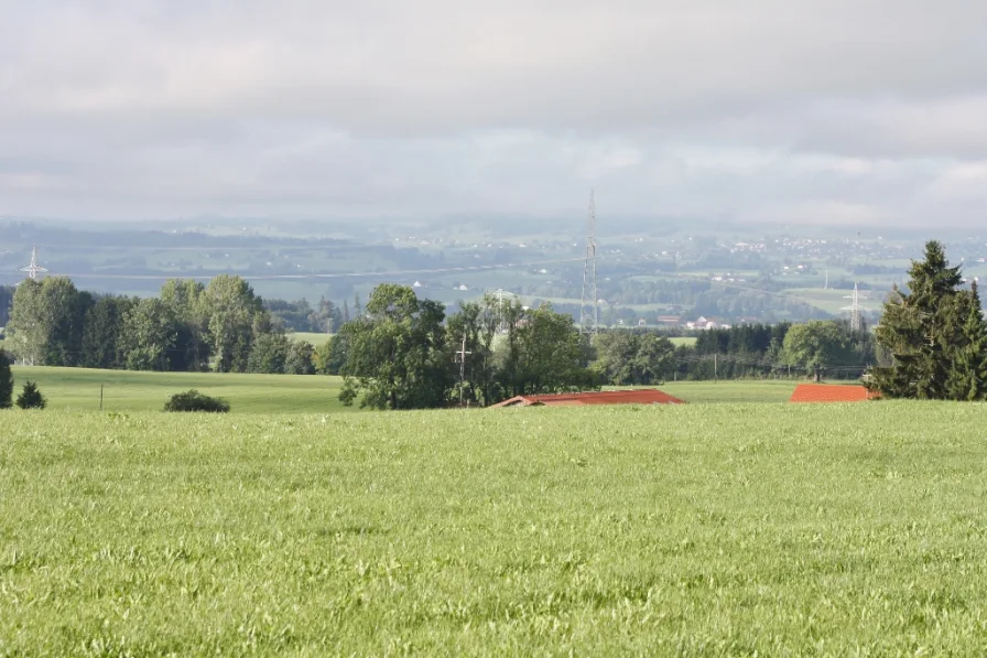 Aussicht Richtung Süd - Westen