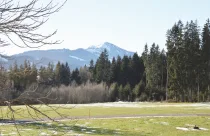 Ausblick Richtung Süd - Westen