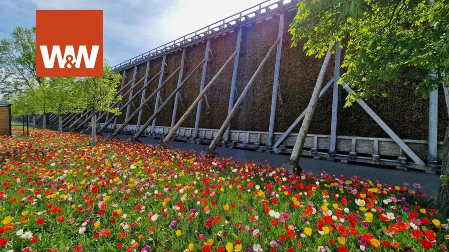 Blumenmeer am Gradierwerk - Wohnung kaufen in Bad Dürrenberg - Kurort Bad Dürrenberg, Kapitalanlage in 3 Zimmer Wohnung Nähe Solegang