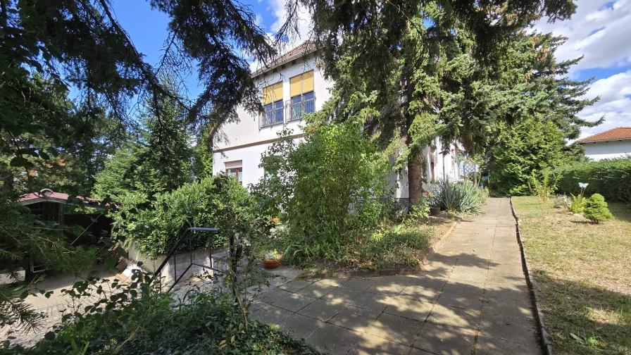 Hintereingang  - Haus kaufen in Zeitz - Zeitz - charmantes gepflegtes Haus am ruhigen Stadtrand mit großem Balkon, Garten und Pool