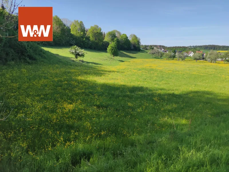 Hier würden sich Pferde wohlfühlen