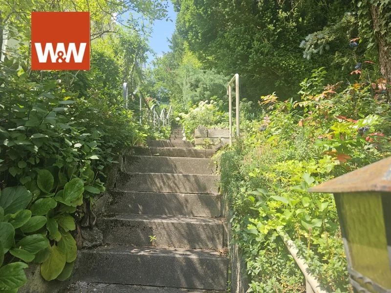 Es geht aufwärts im Garten