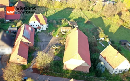 Ansicht - Haus kaufen in Blomberg / Istrup - Gehöft mit 2 Wohnhäusern und Scheunen