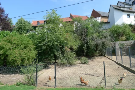 Grundstück von unten - Grundstück kaufen in Idstein / Walsdorf - Baugrundstück im alten Ortskern von Walsdorf, sehr ruhig und idyllisch