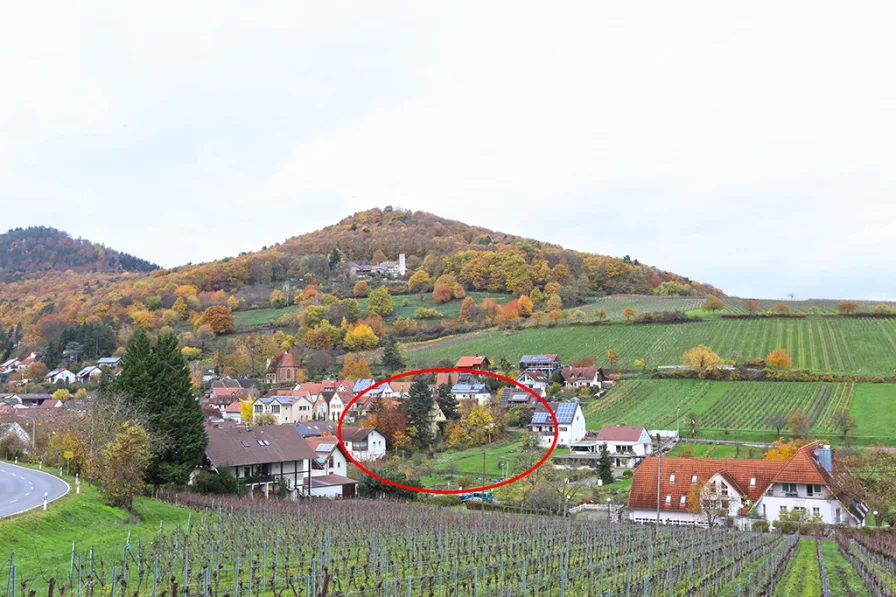  - Grundstück kaufen in Leinsweiler - Sonniges Grundstück am Südhang in Ortsrandlage mit grandiosem Ausblick