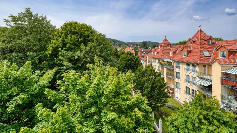 Ausblick Wintergarten