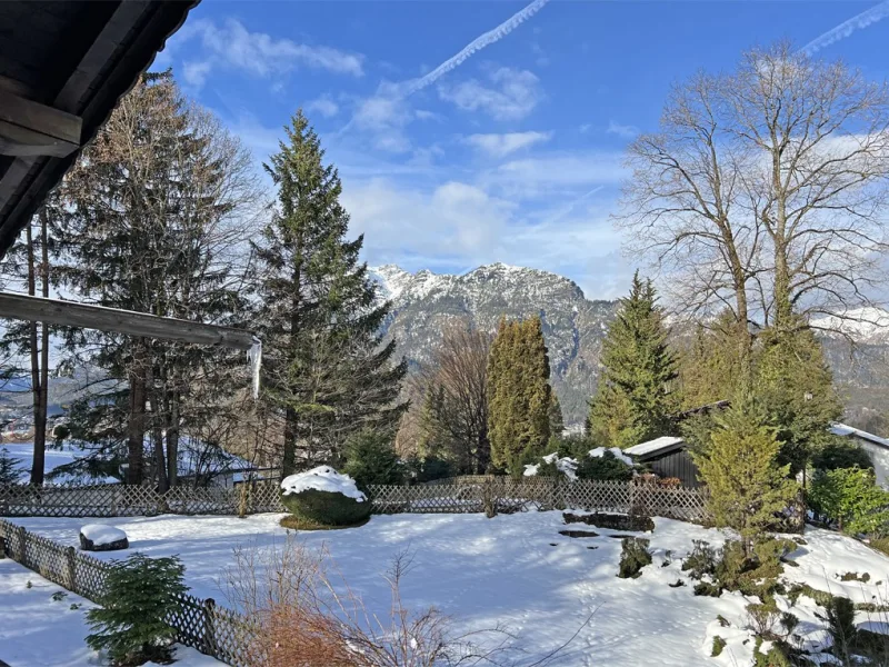 Blick vom Balkon - großzügiger Garten