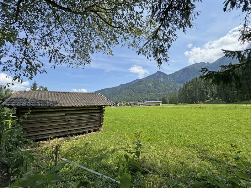 unbebaute Nachbarschaft (Außenbereich!)