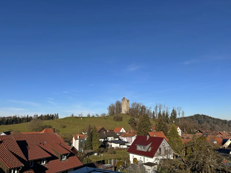 Blick ins Grüne