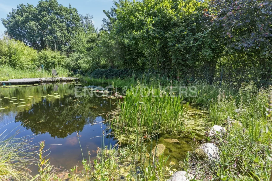 Schwimmteich mit Terrasse 