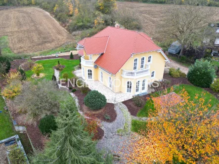 Hausansicht - Haus kaufen in Burglengenfeld - Architektenhaus auf großzügigem, parkähnlich angelegten Grundstück