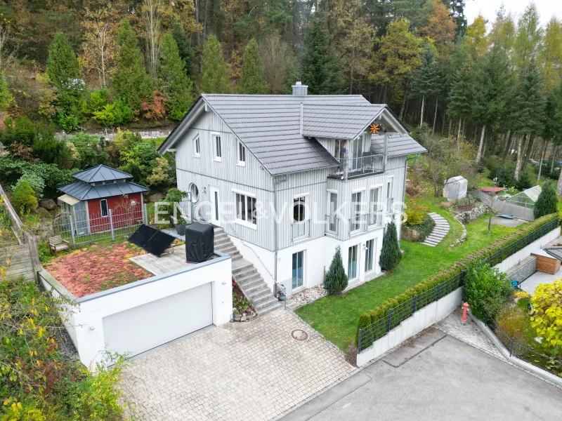  - Haus kaufen in Reichenbach - Traumhaus mit ELW und unverbaubarem Blick auf den Regen