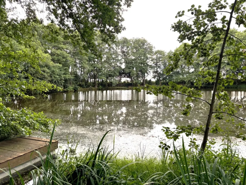 Teich mit Steg - Grundstück kaufen in Hude - Ganz nah an der Natur! -Traumhaftes Naturgrundstück bei Hude