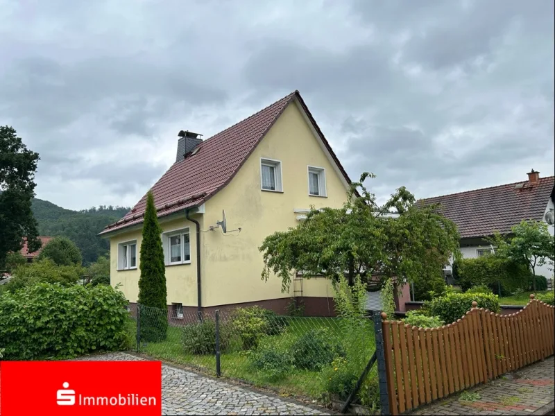 Straßenansicht - Haus kaufen in Ellrich - Einfamilienhaus in Sülzhayn