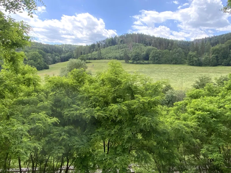 Ausblick vom Bettenhaus