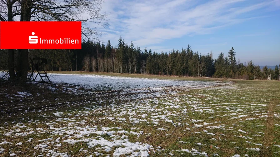 Ansicht - Grundstück kaufen in Rosenthal - Wald - und Wiesenfläche Rosenthal am Rennsteig - OT Neundorf 