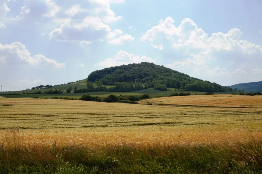 Ausblick vom Grundstück