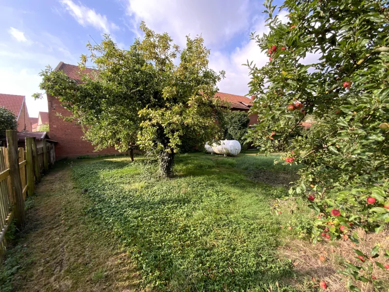 Garten mit Baumstand