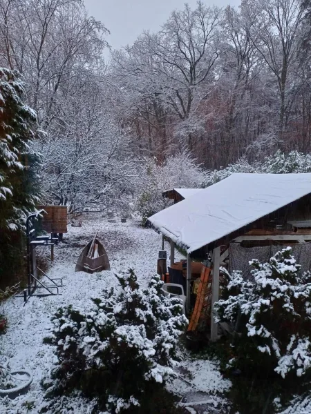 Garten im Winter